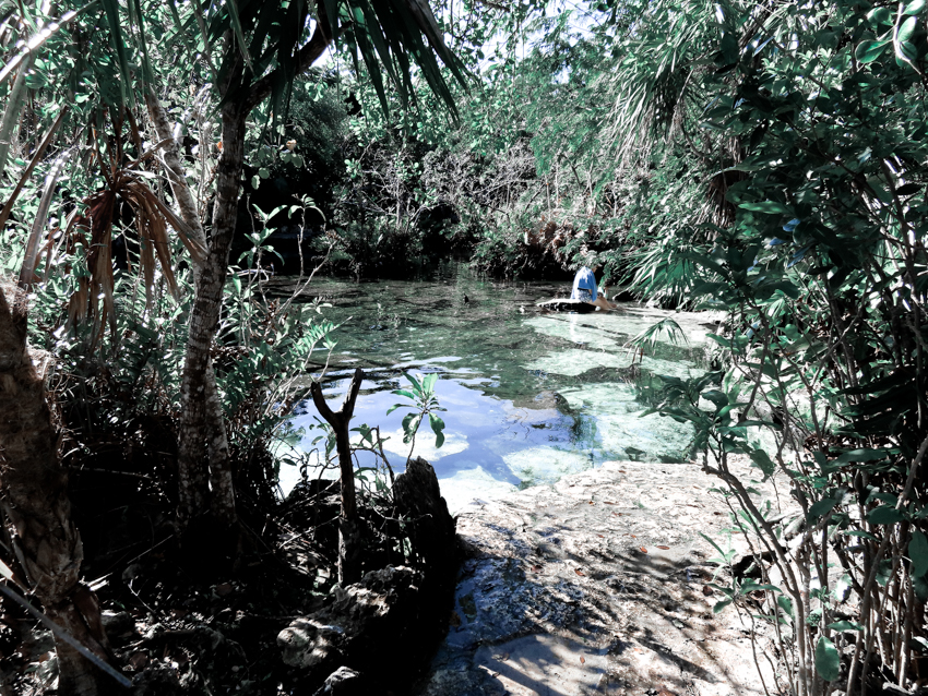 Snorkeling area of Cenote Azul